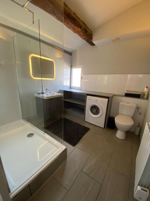 Le Jaffa Vue Sur La Cite Apartment Carcassonne Ngoại thất bức ảnh